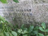 image of grave number 582163